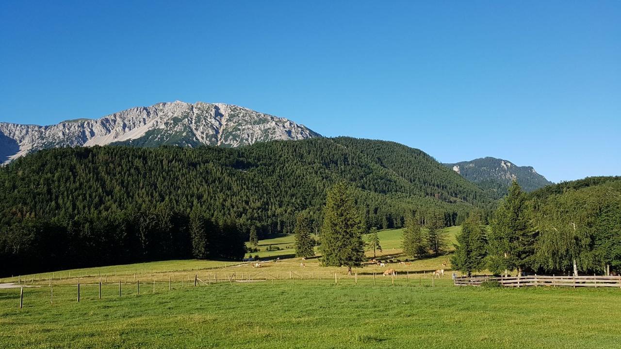 Ferienwohnungen Mamauwiese Gutenstein المظهر الخارجي الصورة