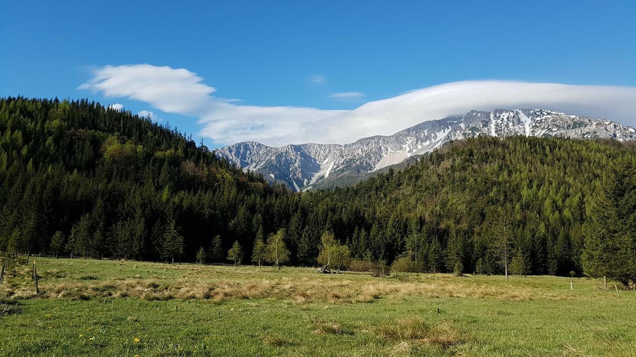 Ferienwohnungen Mamauwiese Gutenstein المظهر الخارجي الصورة