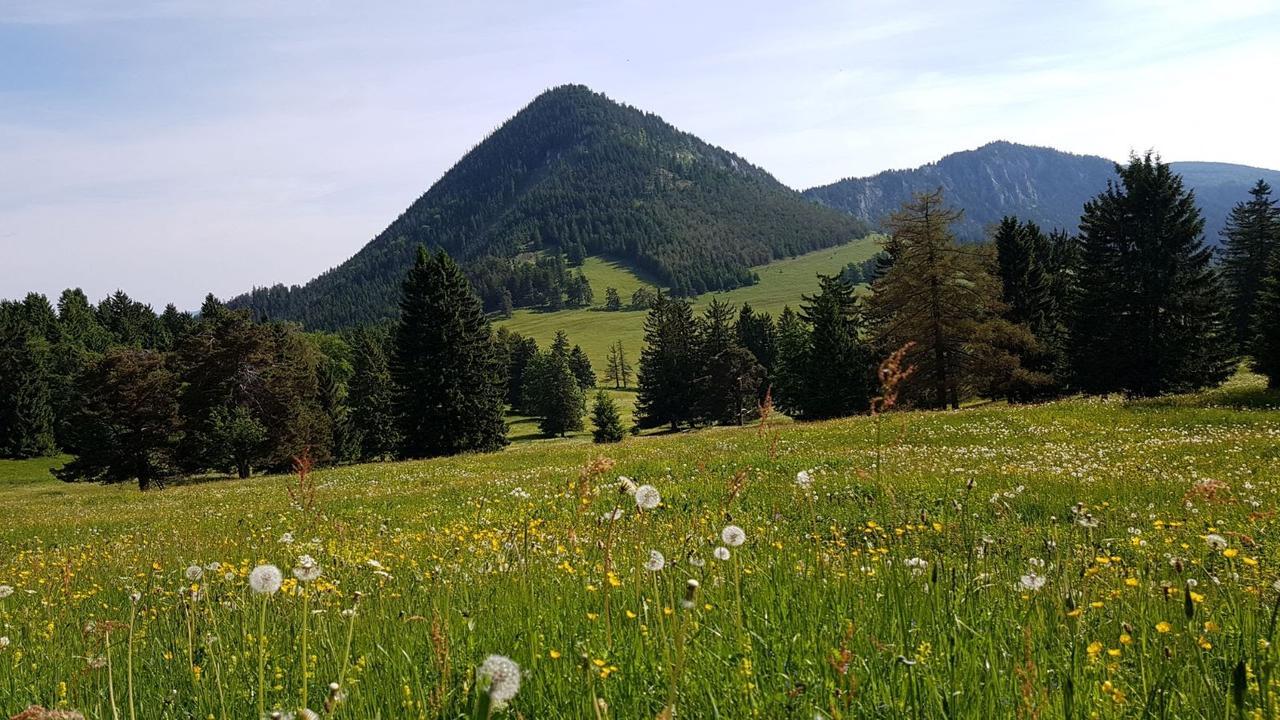 Ferienwohnungen Mamauwiese Gutenstein المظهر الخارجي الصورة