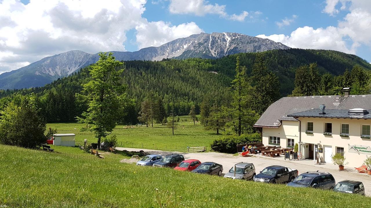 Ferienwohnungen Mamauwiese Gutenstein المظهر الخارجي الصورة