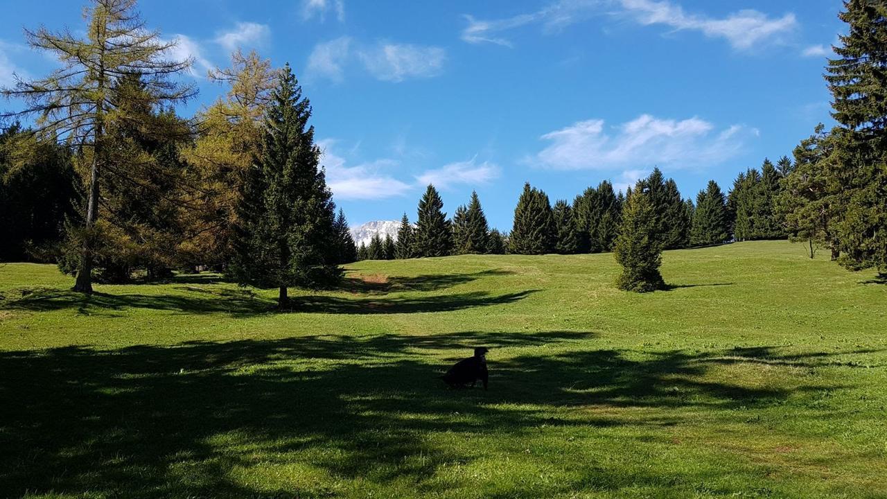 Ferienwohnungen Mamauwiese Gutenstein المظهر الخارجي الصورة