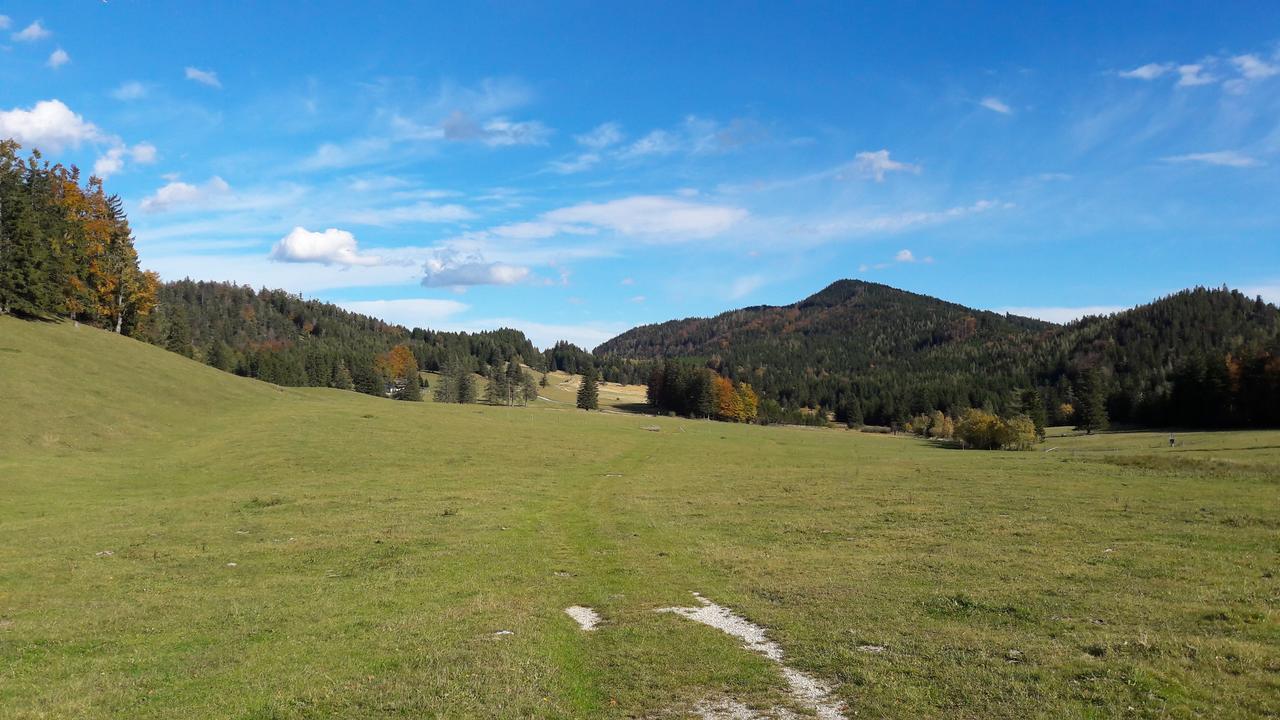 Ferienwohnungen Mamauwiese Gutenstein المظهر الخارجي الصورة
