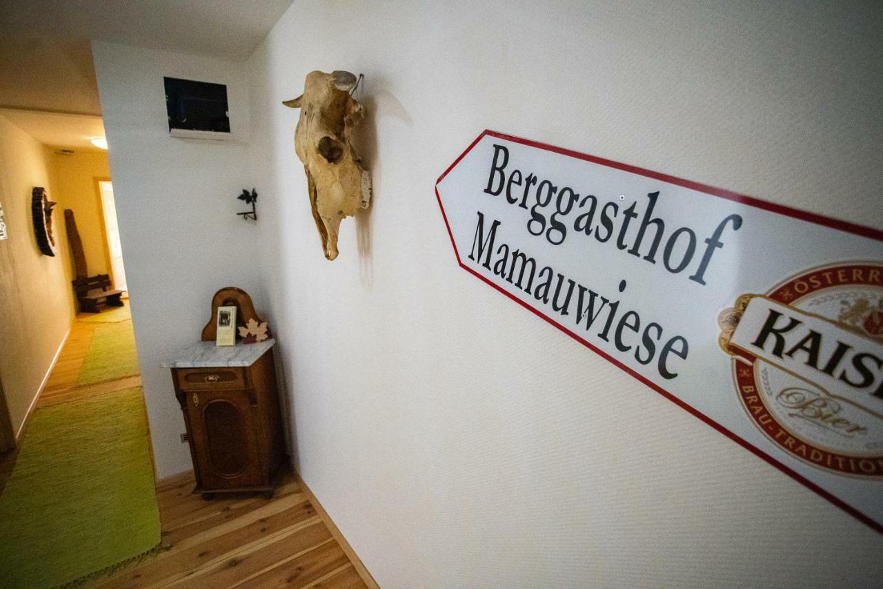Ferienwohnungen Mamauwiese Gutenstein المظهر الخارجي الصورة