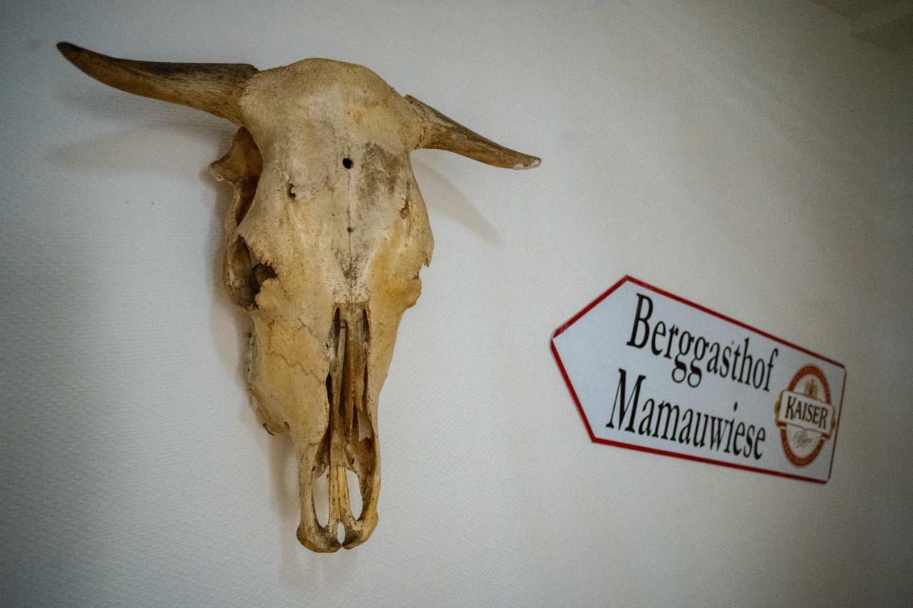 Ferienwohnungen Mamauwiese Gutenstein المظهر الخارجي الصورة